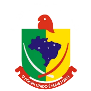 Camara Municipal de Montenegro RO White