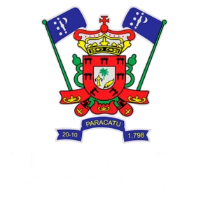 Camara Municipal de Paracatu MG White